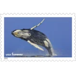 1_ea39970f-cd20-4c02-804b-c6dd3d0209ba