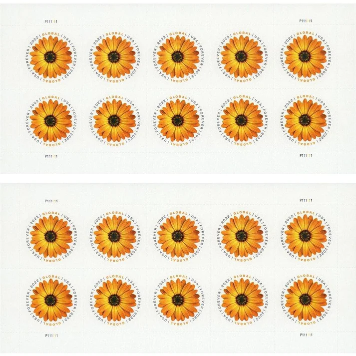 2-28-587a3d72-1636-4897-9a0e-322e1ef2e1c7-_2 2-28-587a3d72-1636-4897-9a0e-322e1ef2e1c7-_2