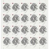 2-99b109cc-c6b7-420d-97ee-27d254b06bb2-_2