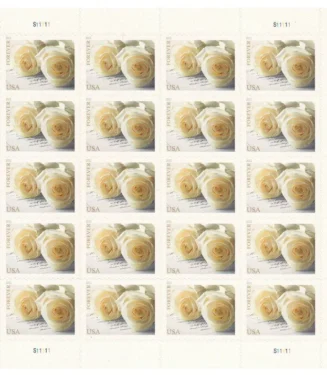 2-ee32cab9-7cf0-4dc4-9dbd-d6dc7f188ef6-_2