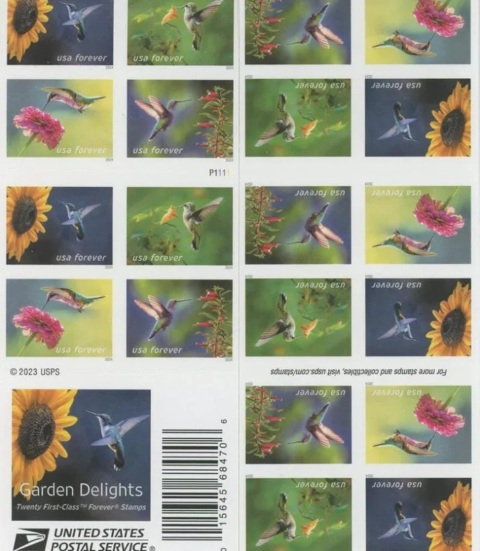 Animal_22_7_05db0ffc-ee27-40a7-af3e-ffc31e782c76