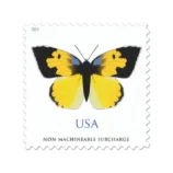 CaliforniaDogface2019