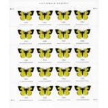 CaliforniaDogface2019-2