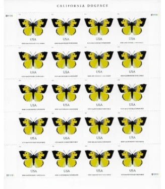 CaliforniaDogface2019-2