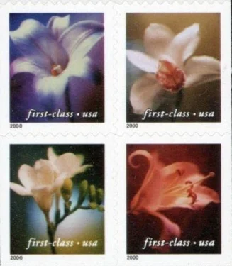 Four Orchids 2020