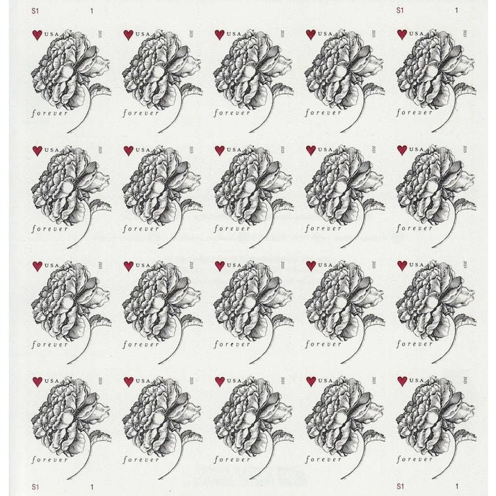 FL_6_16_66897820-0098-4c45-862f-7e460a9d401a FL_6_16_66897820-0098-4c45-862f-7e460a9d401a