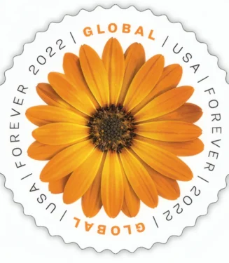 Global African Daisy 2022