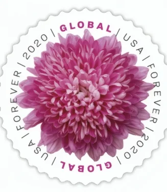 Global Chrysanthemum 2020