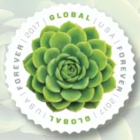 GlobalGreenSucculent2017