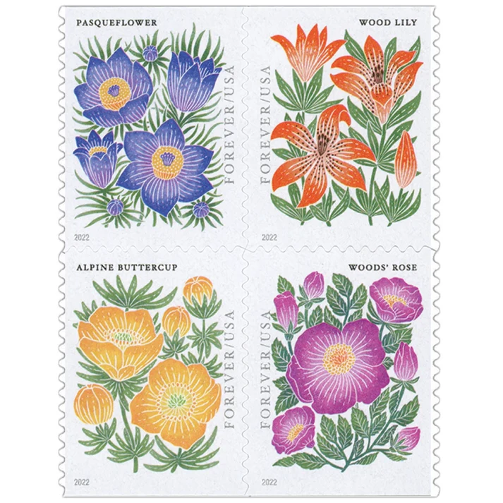 MountainFlora2022 MountainFlora2022