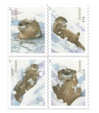 Otters in Snow 2021