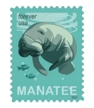 Save the Manatees 2024