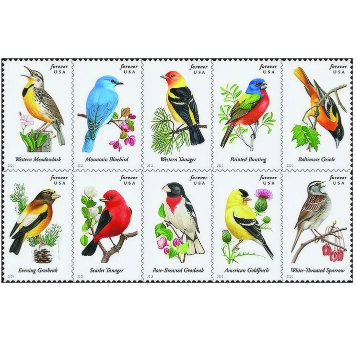 Songbird2014 Songbird2014