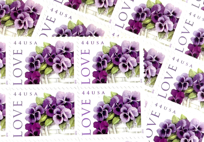 il_nxN.5843128770_1jpi il_nxN.5843128770_1jpi