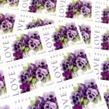 il_nxN.5891224155_cknn