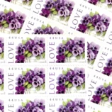 il_nxN.5891224319_8u7s