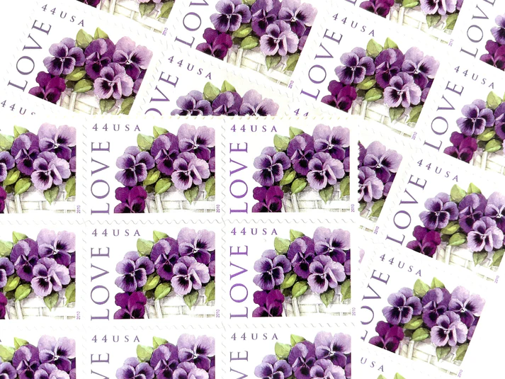 il_nxN.5891224319_8u7s il_nxN.5891224319_8u7s