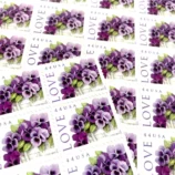 il_nxN.5891224389_ljil