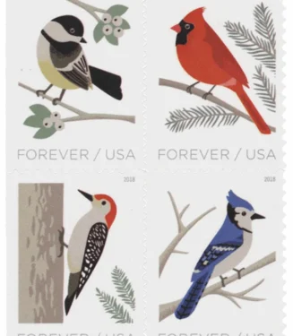 Birds in Winter 2018