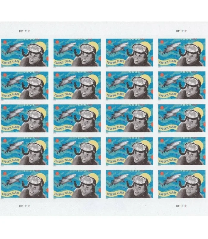 2-2-d55a6f91-86bc-48cd-ab40-ffdd736dccb1-_2