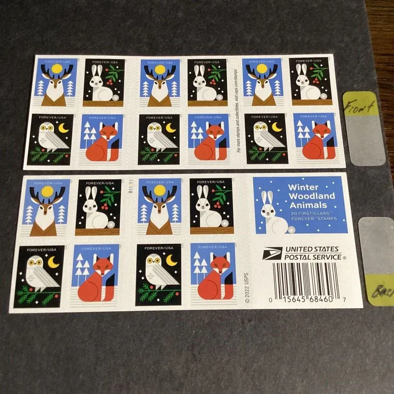 Animal_27_8 Animal_27_8