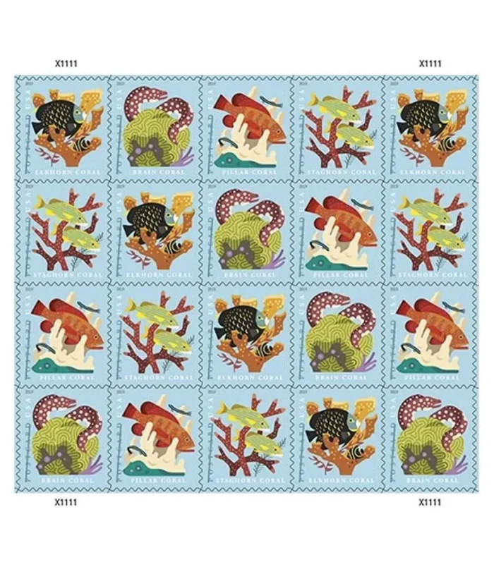 CoralReefs2019-2-5ba9c63e-9c15-48fc-8922-1db82c75002d-_2