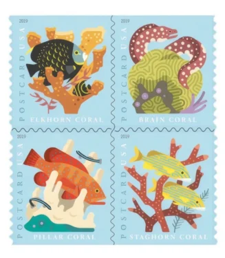 Coral Reefs Postcard 2019
