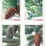 USA-4478-81__99027.1711086224