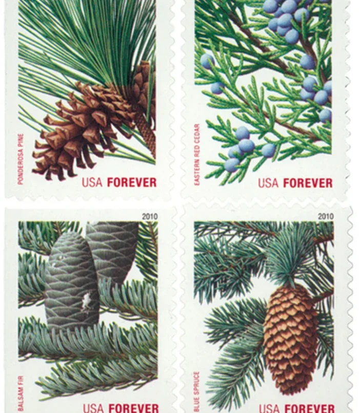 USA-4478-81__99027.1711086224