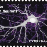 USPS23STA030H-800x508