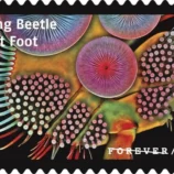 USPS23STA030R-800x508