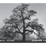 jxLFHGnE2hmhkxen8D7Hd5vaNIkUyqMkztvDw4gF